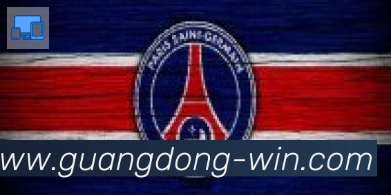 广东体彩合作伙伴